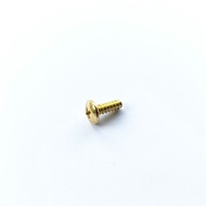 GOLD BODY SCREW 4X12