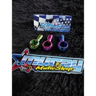 Titanium brake hose Banjo