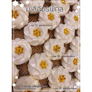 Jasmine Free Empty 50 Pieces/100 Pieces