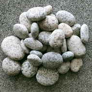 Batu coral telur puyuh 1kg, batu taman