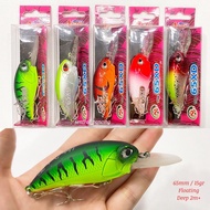 LURE ASARI UGLY DUCK 65XD