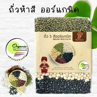 ถั่ว5สีออแกนิค 1kg 165 ปลูกแบบออแกนิคมีใบรับรองจากIFOAM ถั่วดำ แดงอสุกิ ขาว เหลืองและถั่วเขียวพร้อมป