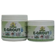 PENTENS E-Grout Epoxy Putty Adhesive (1KG)