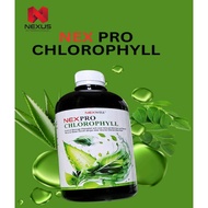 Klorofil NEX PRO CHLOROPHYLL