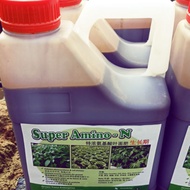 Super Amino (N)Raja Amino