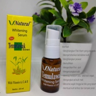 Temulawak SERUM WITHENING VIT A, C, &amp; E Beauty Skin Care