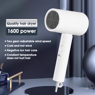 Hair Dryer Foldable Portable 1600w Travel Electric HairDryer Blower Negative Ion Hair Care