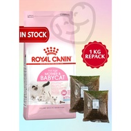 REPACK Royal Canin Mother & Babycat Dry Cat Food 500g 1kg repacked cat food repak makanan kucing kit