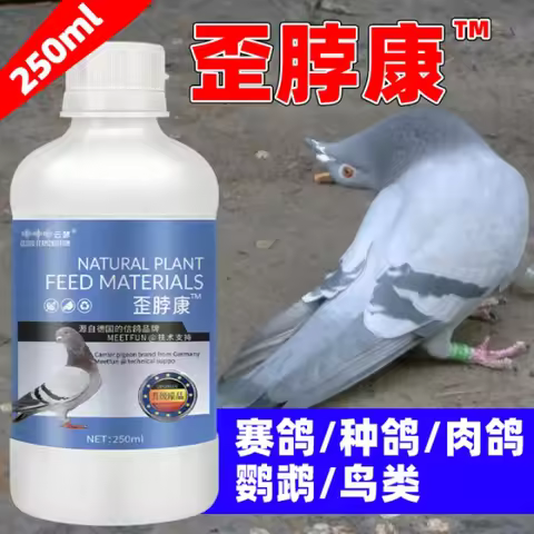 Pigeon Parrot Bird Crooked Head Neck Twisted Neck Shrunk Neck Shake Head Common Disease Medicine Pig