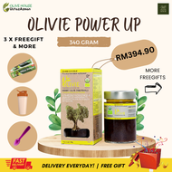 OLIVIE POWER UP DARI SEPOHON POKOK ZAITUN OLIVE HOUSE OLIVE OIL ORGANIK MINYAK ZAITUN EXTRA VIRGIN A