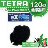 [ 河北水族 ] 德彩 Tetra Ex Power生化棉 【二入】120型過濾器專用濾材
