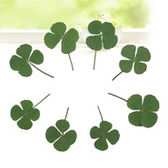Clover Lucky Four-Leaf Grass Pattern For You To Decorate Phone Covers, Pour Epoxy Glue, DIY