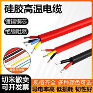 High Temperature Resistant Cable Wire Multi-Core Sheathed Wire 2-Core Silicone Wire 2.5 Square Extra