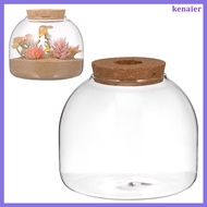 Terrarium Bottle Garden Faux Plants Indoor Cute Enclosed Ecosystem Jar Aquarium Jars  kenaier