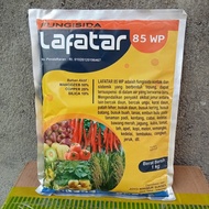 fungisida sistemik dan kontak LAFATAR 85 WP 1kg Obat Jamur Tanaman