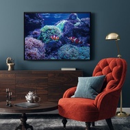 海底世界 • 小丑魚 - 小丑魚/大自然/海洋/多彩/生態/群聚