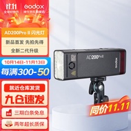 神牛（Godox）AD200pro/AD200proII闪光灯锂电池口袋便携外拍摄影补光灯单反相机高速TTL闪光灯 外拍闪光灯AD200proII【新增双色温造型灯】 官方标配