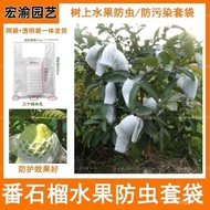 Guava Insect-Proof Mesh Bag Special Bag Bag for Bird-Proof Insect-Proof Fruit Bag Guava Insect-Proof