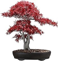 Home Office Artificial Bonsai Tree Artificial Plant Simulation Red Maple Bonsai Restaurant Japanese- Style Fake Plant Decoration Cuisine Sushi Restaurant Tea Room