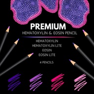 [4 PENCILS PREMIUM] HEMATOXYLIN & EOSIN PENCILS FOR HISTOLOGY