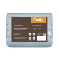 Picasso รุ่น Smile ผ้าห่มนวมใยสังเคราะห์ / ผ้าไมโครซาติน สีฟ้ามินต์