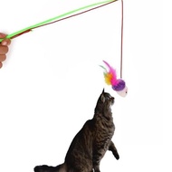 Cat Toy Wand