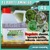 Agrishop 4 Liter Rarity Amine 60% Herbicide Weed Killer Racun Rumput