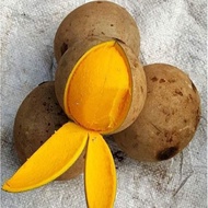 Buah Bambangan Buah Embang Buah Mawang Sarawak 1kg