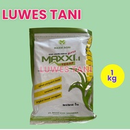 BENIH JAGUNG MAXXI 1 - TEGAP HIBRIDA SUPER MAXXI AGRI INDONESIA
