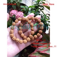 gelang rudraksha jenitri ganitri