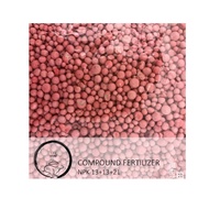 (SG Seller) Compound Fertilizer NPK 13+13+21 USAGI