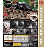 全新 Bandai Premium Gashapon 生物 昆蟲 大圖鑑 鍬形蟲 扭蛋 全4種 獨角仙 