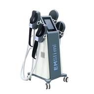 EMS Fat Burning Muscle RF Equipment Workout Abs Ems body Sculpt Device Pelvic Floor 4 Handle Ems Mus