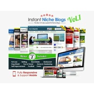 Setup Adsense Niche Website -Volume 1