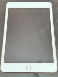 iPad mini 5 LTE 64G