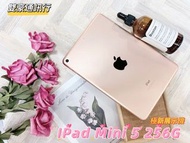 🧸iPad mini 5 256G 電池健康度97%循環42次 超新展示機🧸