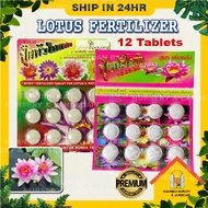 Baja Lotus Thailand Fertilizer For Lotus &amp; Water Lily 12 Tablets BajaTumbuhan Air Baja Teratai NPK 9-23-20