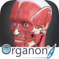 🔥LATEST 2023🔥3D Organon Anatomy 3.0.0 (x32/x64) [Portable]