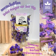 Chintrovert || For get me not 10 g All Types Of Rodents