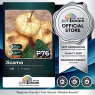 Biji Benih Sengkuang P76 Jicama JOM TANAM 沙葛种子 Gardening Seed P 76