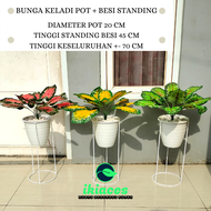 DAUN HIAS BUNGA KELADI POT BESI BUNGA PLASTIK BUNGA ARTIFICIAL BUNGA PALSU DAUN PALSU POT STANDING VARIAN WARNA DEKORASI TANAMAN MURAH BAYAR DI TEMPAT