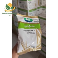 Benih Jagung Hibrida NK SUMO SAKTI 1Kg - Bibit Jagung Sumo Sakti  terbaik