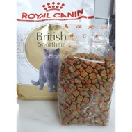 Royal Canin British Short Hair Adult 1KG