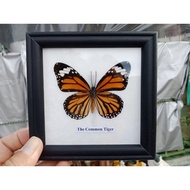 Butterfly Staff Size 10*10 cm