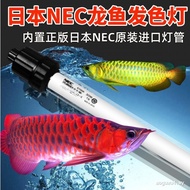 ((READY STOCK) Genuine Japanese NEC Diving Waterproof Arowana Light 6700k Tri-Base Fish Tank Lamp Aq