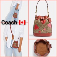 ((有單)) Coach Mini Dempsey Bucket Bag In Signature Canvas With Wild Strawberry Print