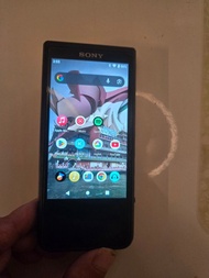 SONY Walkman NW-ZX507