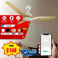 Smart Fan 52 Inch / Wifi Fan / Smart Control Fan / Mobile Control Fan / App control Fan / Remote Control Fan