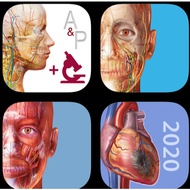 Medical : Atlas of Human Anatomy 4in1