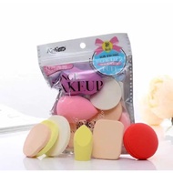 Beauty Blender H88 Sponge Contains 6 Sponges